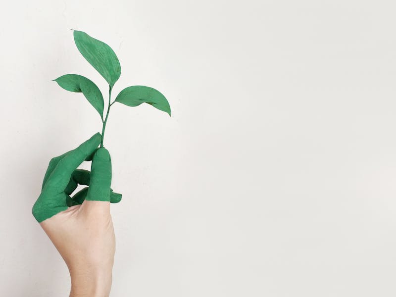 Sustentabilidade no Processo