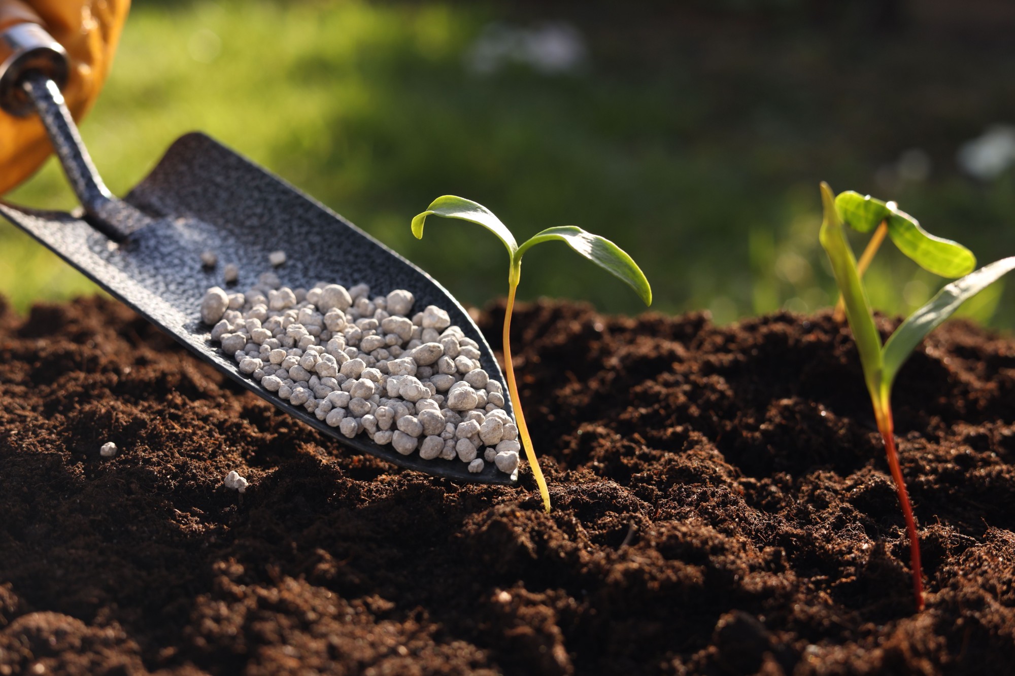 beneficios-fertilizante-solido