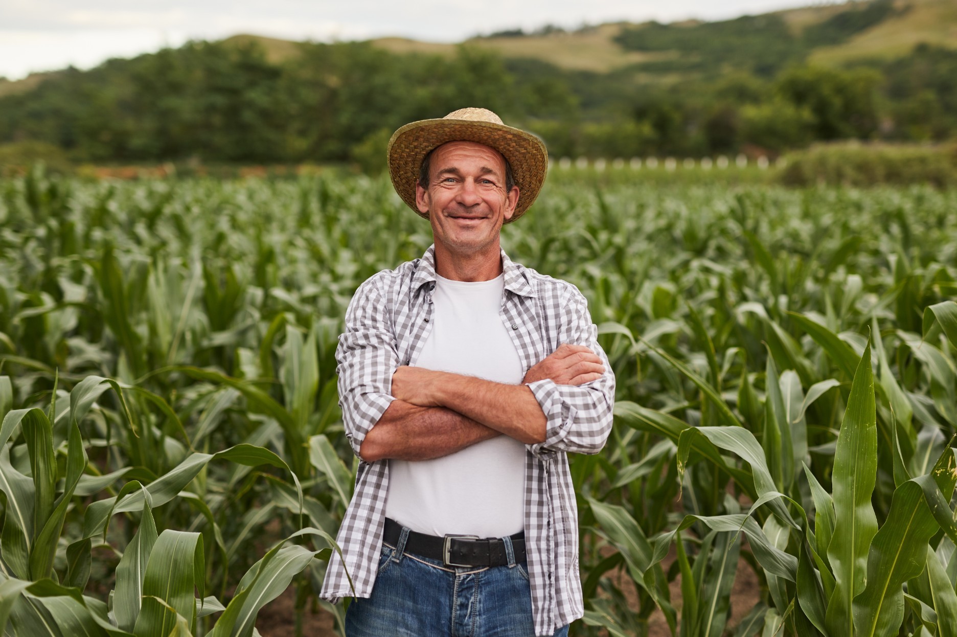 beneficios-produtor-milho